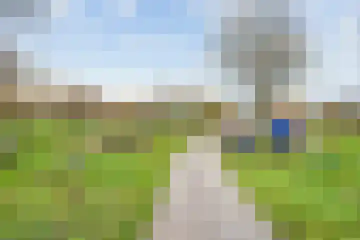 Speerdistel 7 De Meern thumbnail 26