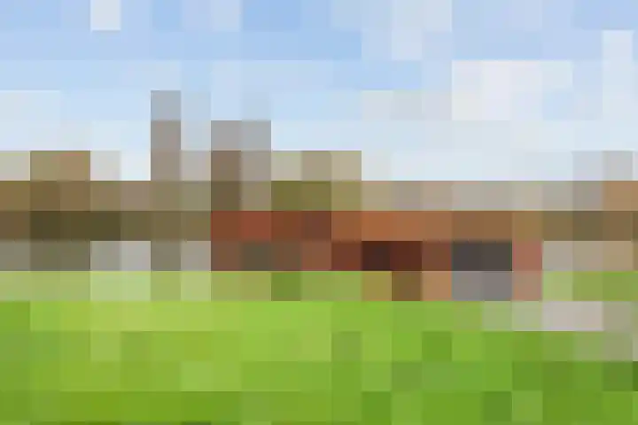Speerdistel 7 De Meern thumbnail 27