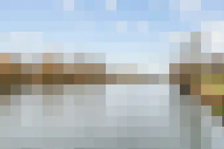 Speerdistel 7 De Meern thumbnail 28