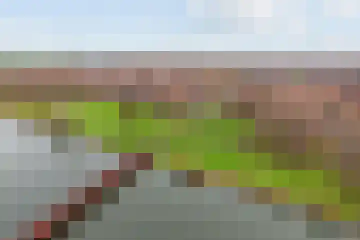 Speerdistel 7 De Meern thumbnail 29