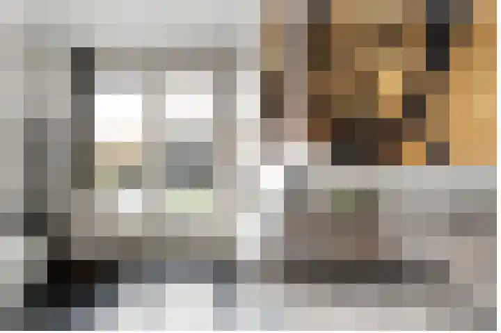Speerdistel 7 De Meern thumbnail 8