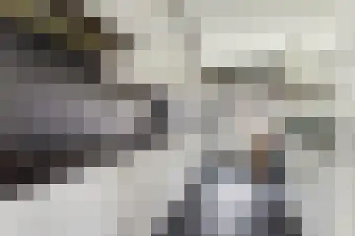 Speerdistel 7 De Meern thumbnail 9