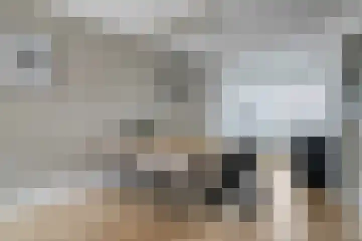 Speerpunt 17 Zuidland thumbnail 10