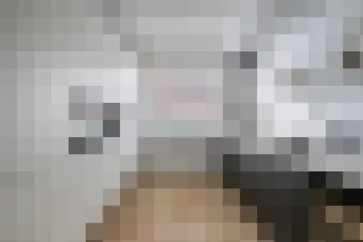 Speerpunt 17 Zuidland thumbnail 11