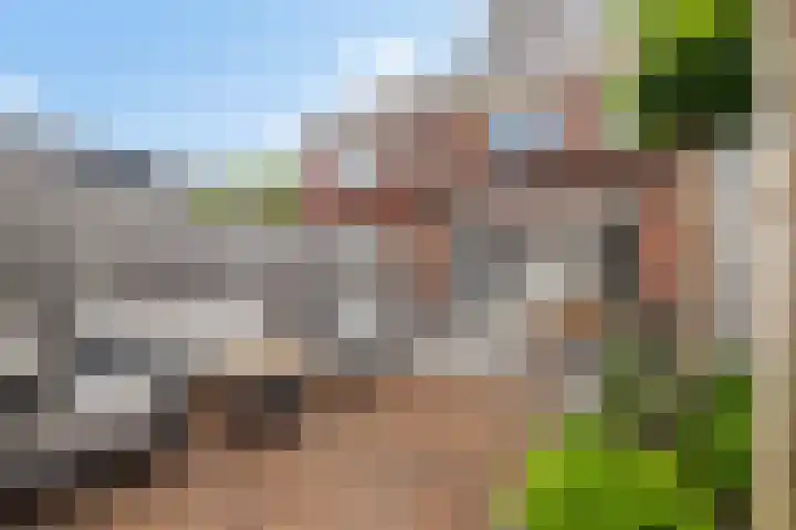 Speerpunt 17 Zuidland thumbnail 16
