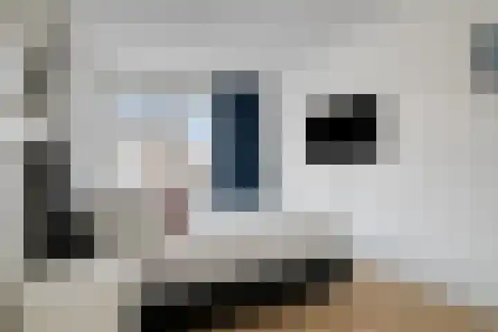 Speerpunt 17 Zuidland thumbnail 21