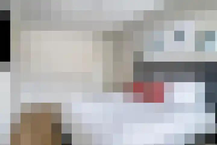 Speerpunt 17 Zuidland thumbnail 22