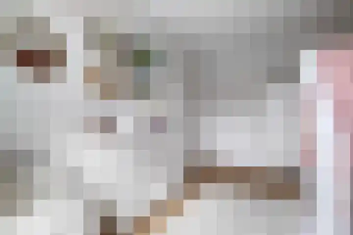 Speerpunt 17 Zuidland thumbnail 26