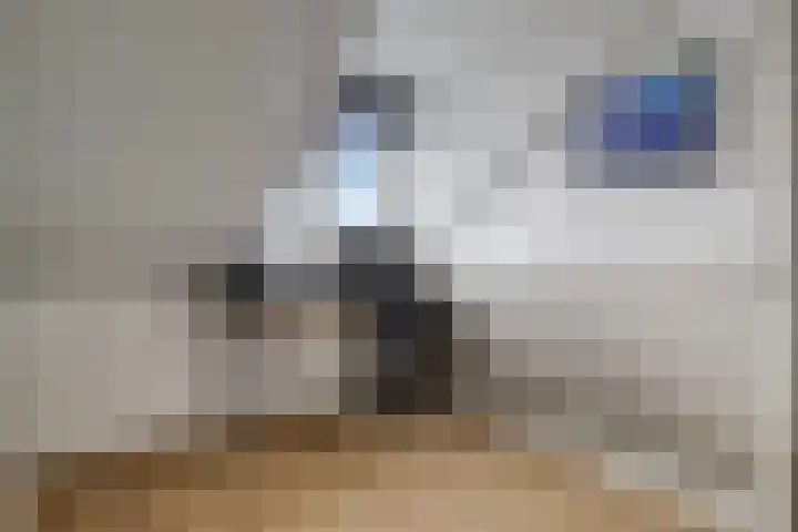 Speerpunt 17 Zuidland thumbnail 34
