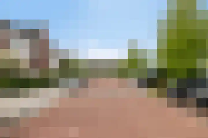 Speerpunt 17 Zuidland thumbnail 37