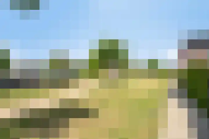 Speerpunt 17 Zuidland thumbnail 38