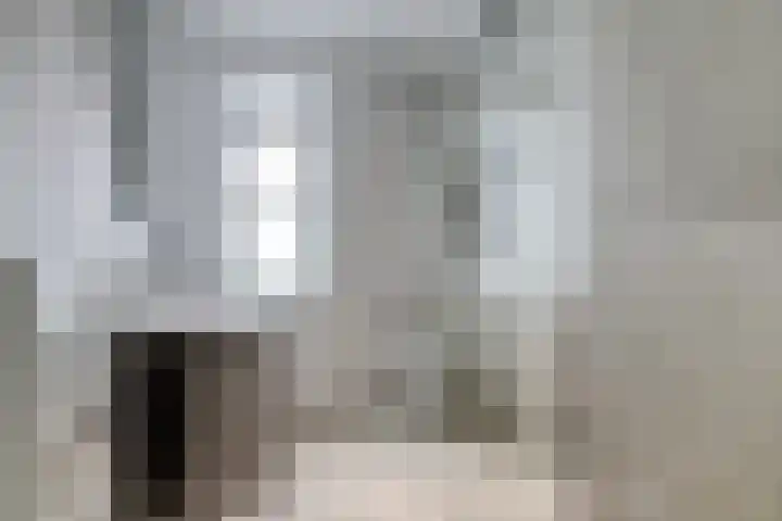 Speerpunt 17 Zuidland thumbnail 4