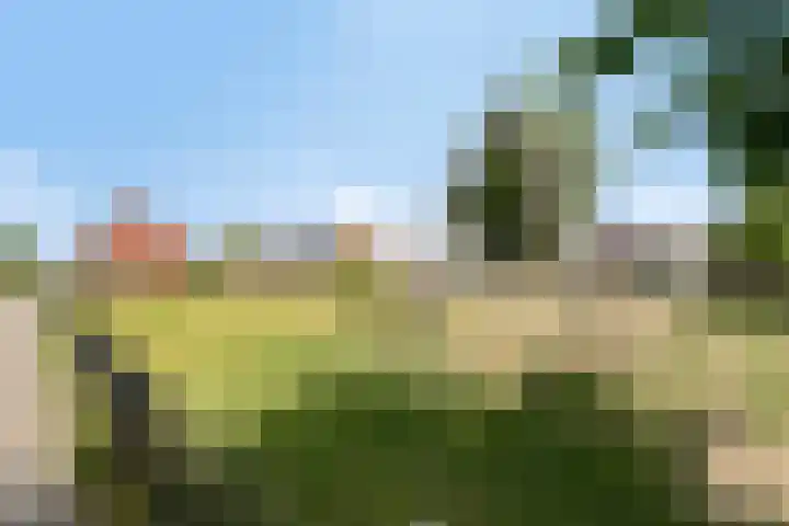 Speerpunt 17 Zuidland thumbnail 40