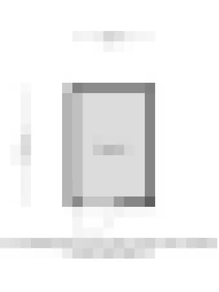 Speerpunt 17 Zuidland thumbnail 43