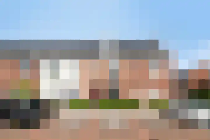 Speerpunt 17 Zuidland thumbnail 5