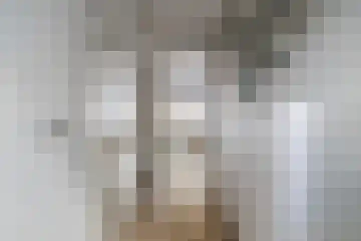 Speerpunt 17 Zuidland thumbnail 6