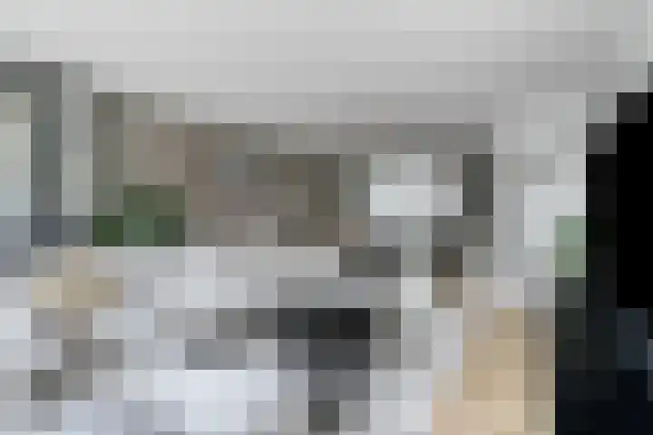 Speerpunt 17 Zuidland thumbnail 8