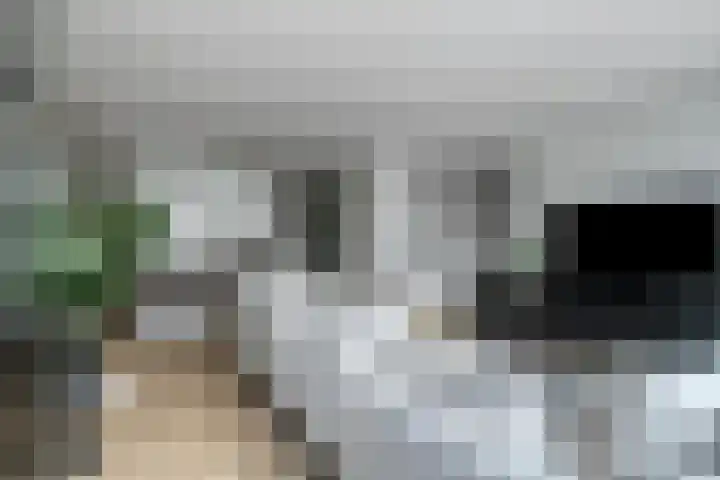 Speerpunt 17 Zuidland thumbnail 9