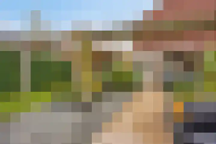 Speerpunt 21 Zuidland thumbnail 15