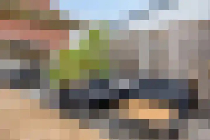 Speerpunt 21 Zuidland thumbnail 16