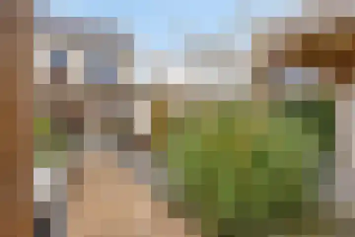Speerpunt 21 Zuidland thumbnail 18