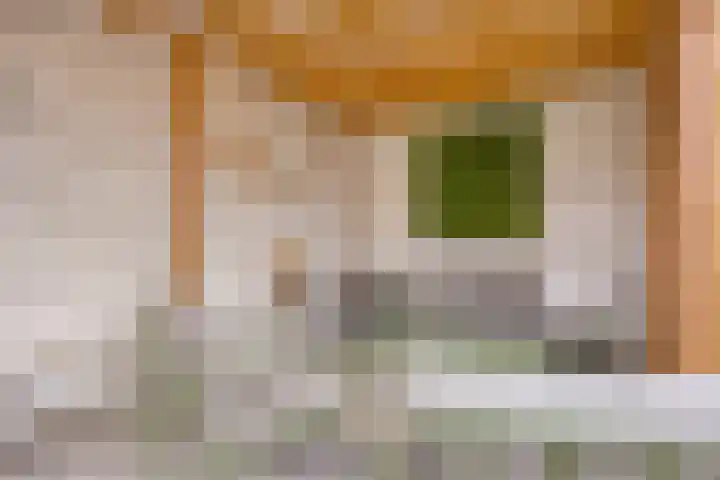 Speerpunt 21 Zuidland thumbnail 22