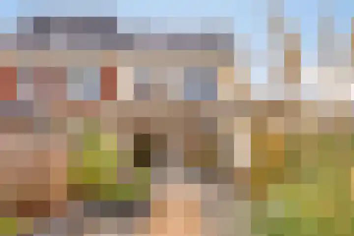 Speerpunt 21 Zuidland thumbnail 23