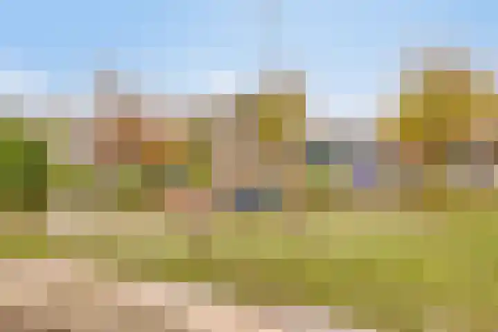 Speerpunt 21 Zuidland thumbnail 42