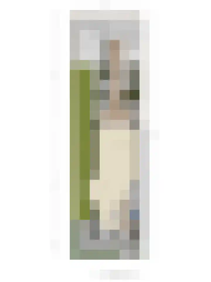 Speerpunt 21 Zuidland thumbnail 45