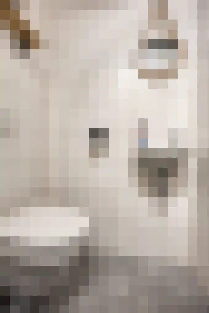 Speerpunt 21 Zuidland thumbnail 8