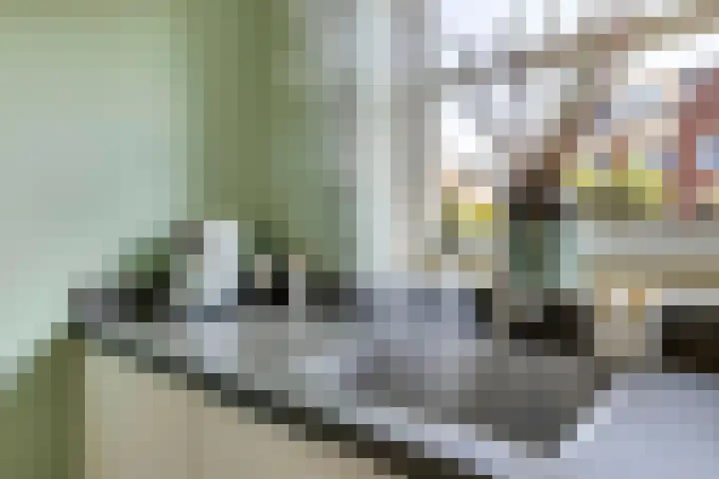 Speerpunt 61 Zuidland thumbnail 14