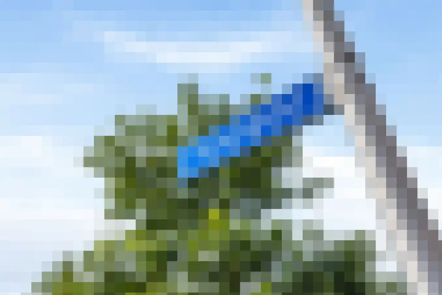 Speerpunt 61 Zuidland thumbnail 42