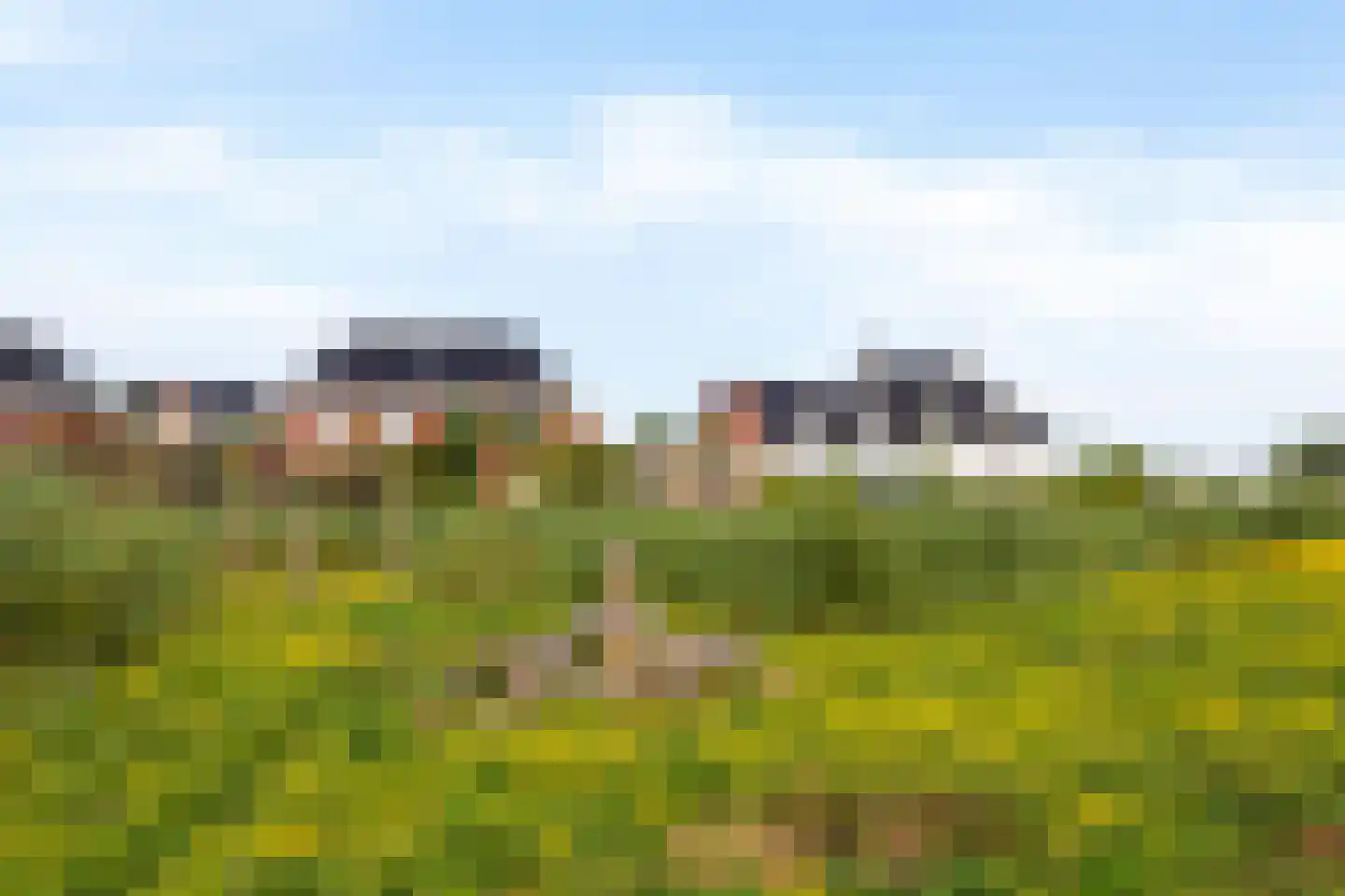 Speerpunt 61 Zuidland thumbnail 48