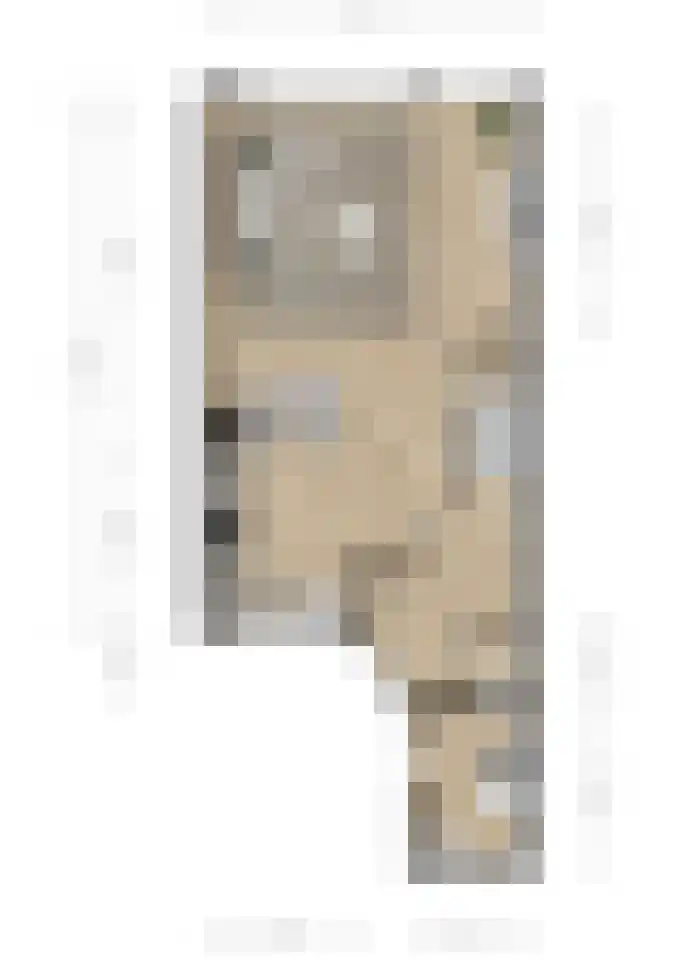 Speerpuntkreek 12 Spijkenisse thumbnail 11