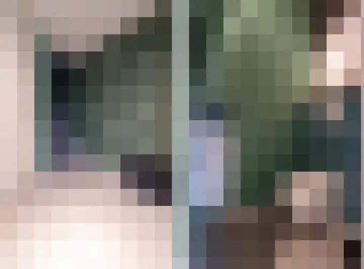 Speerpuntkreek 12 Spijkenisse thumbnail 13