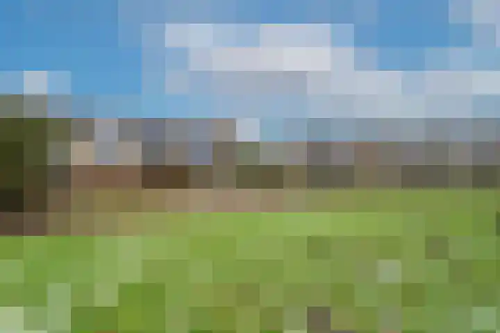 Speerpuntkreek 12 Spijkenisse thumbnail 16