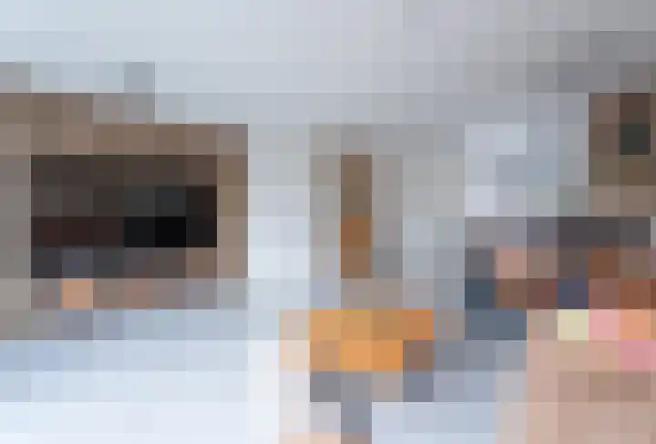 Speerpuntkreek 12 Spijkenisse thumbnail 20