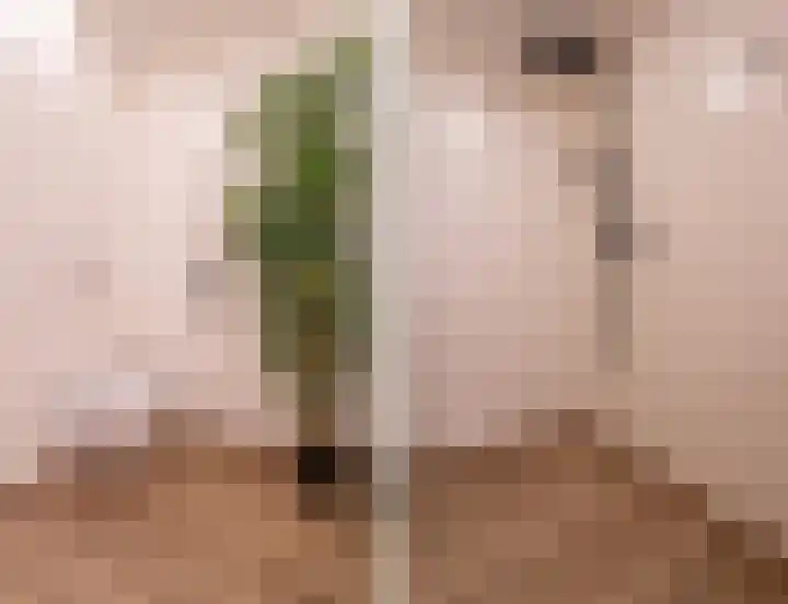 Speerpuntkreek 12 Spijkenisse thumbnail 29