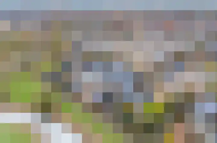 Speerpuntkreek 12 Spijkenisse thumbnail 6