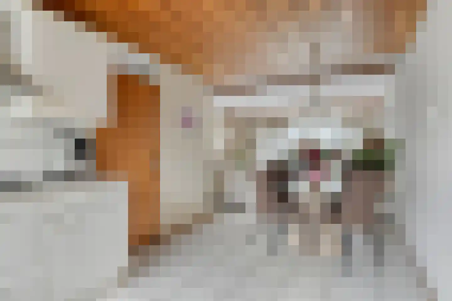 Speet 10 Monnickendam thumbnail 10