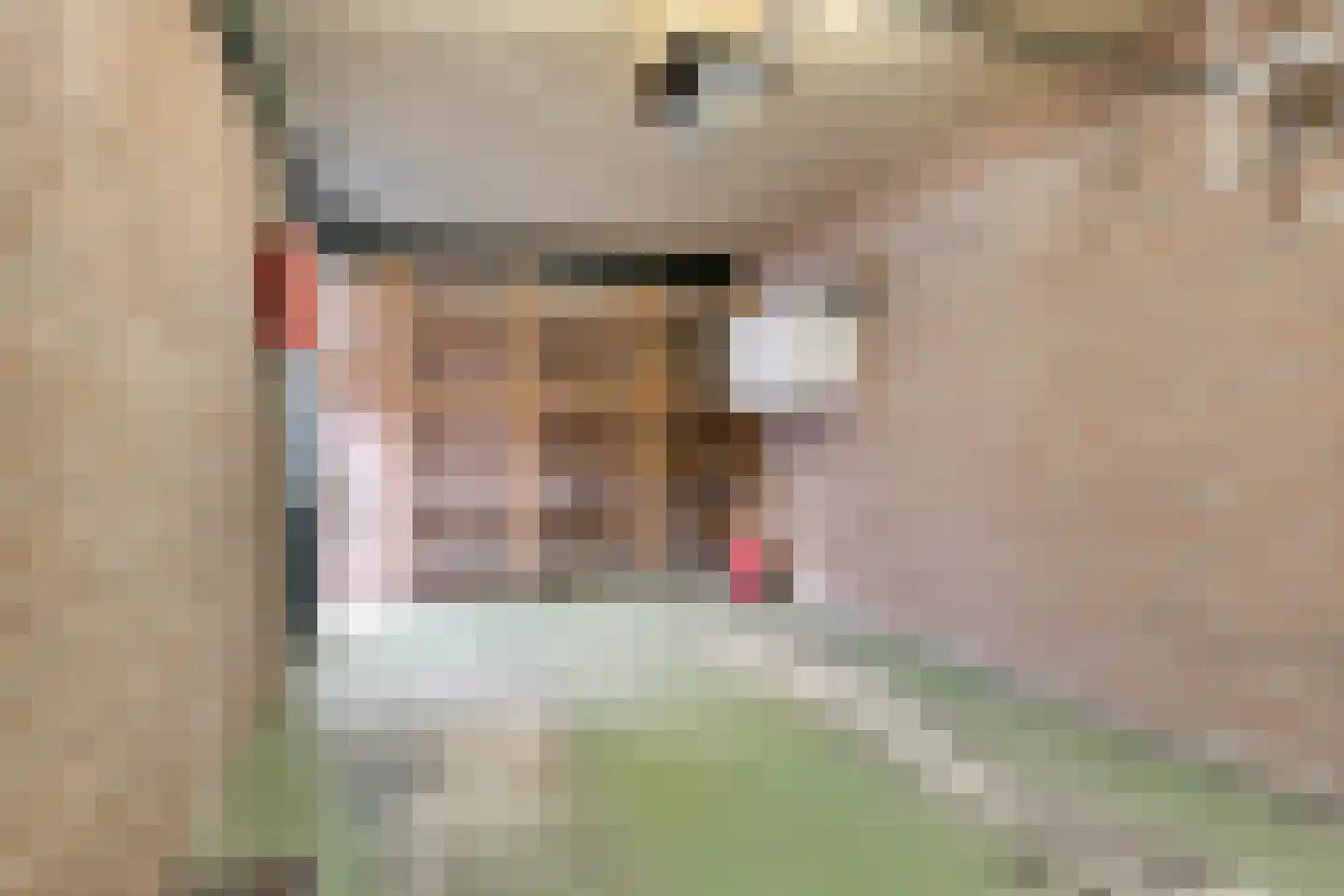 Speet 10 Monnickendam thumbnail 33