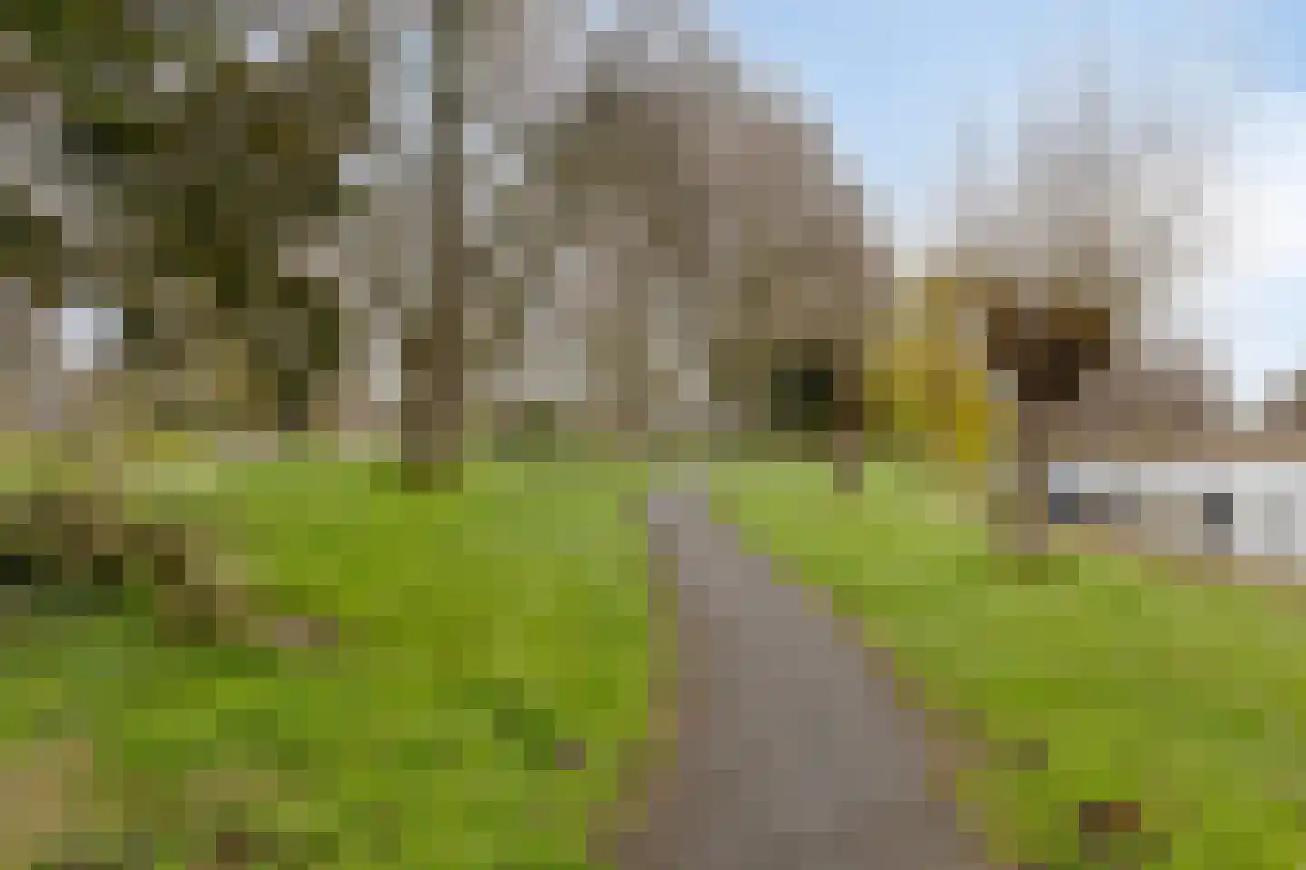 Speet 10 Monnickendam thumbnail 43