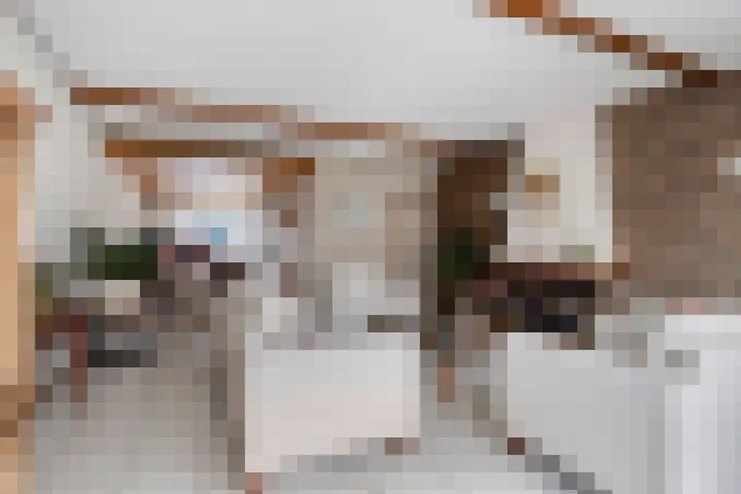 Speet 10 Monnickendam thumbnail 7