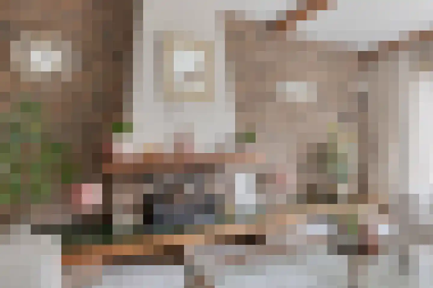 Speet 10 Monnickendam thumbnail 8