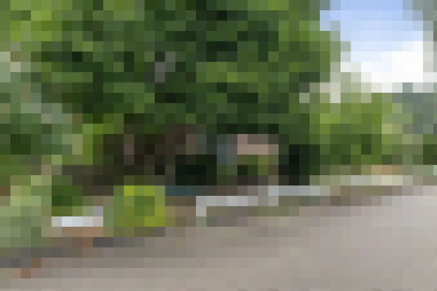 Spehornerbrink 5 Emmen thumbnail 28