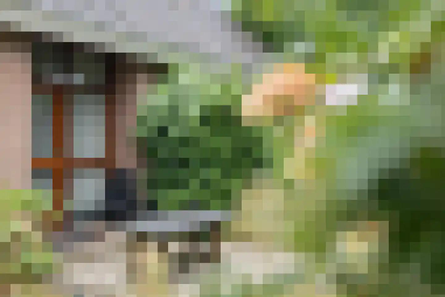 Spehornerbrink 5 Emmen thumbnail 30