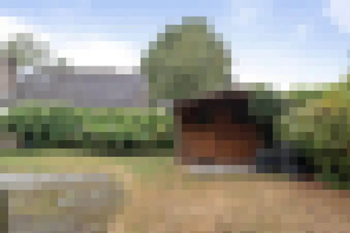 Spehornerbrink 5 Emmen thumbnail 32