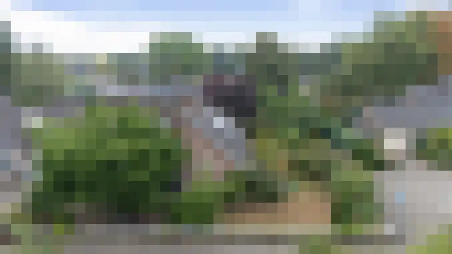 Spehornerbrink 5 Emmen thumbnail 36