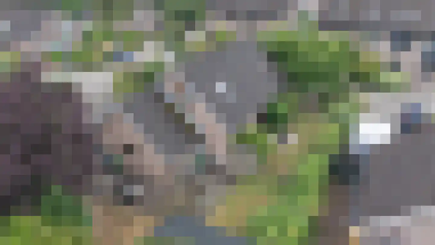 Spehornerbrink 5 Emmen thumbnail 38