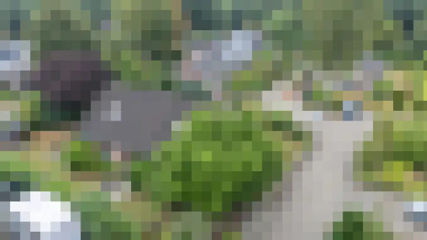Spehornerbrink 5 Emmen thumbnail 39